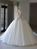Luxury Ball Gown V Neck Long Sleeves Lace Wedding Dress With Silver Beads Wedding Dresses Modest Wedding Gowns Brides Dress HZ1121