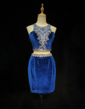 Unique Sheath 2 Pieces Royal Blue Velvet Short Mini Formal 7th Grade Homecoming Dresses Middle School Short Cocktail Night Dress Hoco Outfits HZ1121