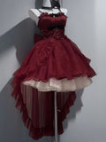 Cute French Style Ladies Fairy High Low Spaghetti Straps Tulle Gotica Formal 8th Grade Homecoming Dresses Lolita Dress Hoco Outfits Lolita Outfits HZ1121