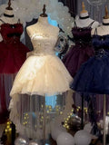 Cute French Style Ladies Fairy High Low Spaghetti Straps Tulle Gotica Formal 8th Grade Homecoming Dresses Lolita Dress Hoco Outfits Lolita Outfits HZ1121