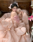Vintage Wedding Gown Bridal Dress Ball Gown Strapless Organza Wedding Dress Pink Wedding Dresses Modest Wedding Gowns HZ1121