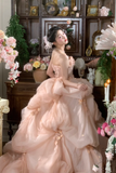 Vintage Wedding Gown Bridal Dress Ball Gown Strapless Organza Wedding Dress Pink Wedding Dresses Modest Wedding Gowns HZ1121