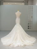 Dreamy Wedding Gown Bridal Dress Mermaid Square Neck Lace Tulle Wedding Dress Long Sleeves Wedding Dresses Modest Wedding Gowns HZ1121