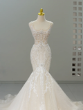Dreamy Wedding Gown Bridal Dress Mermaid Square Neck Lace Tulle Wedding Dress Long Sleeves Wedding Dresses Modest Wedding Gowns HZ1121