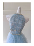 Modest A Line Jewel Neck Light Sky Blue Tulle Formal 8th Grade Homecoming Dress High School Short 18th Birthday Outfits Graduation Dress Hoco Dresses HZ1121