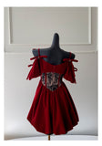 Aesthetic Ball Gown Burgundy Velvet Short Mini Feathers Formal Homecoming Dress Short Cocktail Outfits Graduation Dress Mini Hoco Dress HZ1121