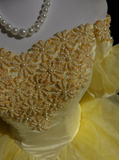 Pretty Ball Gown Square Neck Yellow Tulle Long Floral Quinceanera Dress Formal Gowns Sweet 17 Dresses Vestido De 15 Anos Sweet 16 Dress HZ1121