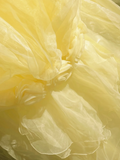 Pretty Ball Gown Square Neck Yellow Tulle Long Floral Quinceanera Dress Formal Gowns Sweet 17 Dresses Vestido De 15 Anos Sweet 16 Dress HZ1121