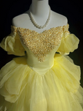 Pretty Ball Gown Square Neck Yellow Tulle Long Floral Quinceanera Dress Formal Gowns Sweet 17 Dresses Vestido De 15 Anos Sweet 16 Dress HZ1121