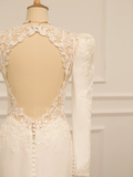 Pretty Wedding Dress Mermaid V Neck Ivory Lace Long Sleeves Backless Vintage Wedding Dresses Bridal Gowns Brides Gown HZ1121