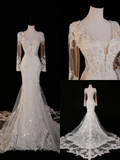 Timeless Bridal Gown Mermaid V Neck Long Sleeves Lace Long Wedding Dresses Elegant Brides Gowns HZ1121
