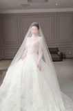 Modest Turtleneck Ball Gown Lace Applique Wedding Dress Elegant Long Sleeve Bridal Dress HZ1121