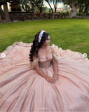 Modest Ball Gown Off-the-shoulder Gold Glitter Tulle Applique Long Quinceanera Dress Formal Gowns Vestido De 15 Anos Sweet 16 Dress HZ1121