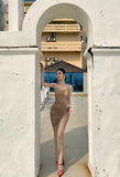 Modest Sheath Spaghetti Strap Long Evening Gown Champagne Metal Mesh Formal Dress Elegant Birthday Prom Dress HZ1121