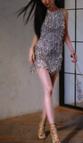 Sparkly Sheath Round Neck Homecoming Dress Tassel Beaded Short Birthday Dress Sequin Sweet Party Dress HZ1121