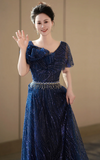 Elegant Sheath Navy Blue Mother of the Bride Dress Tulle Sequins Evening Gown HZ1121