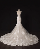 Timeless Strapless Mermaid Wedding Dresses Tulle Applique White Bridal Gowns HZ1121