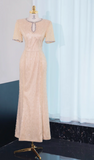 Elegant Jewel Sheath Mother of the Bride Dress Sequined Champagne Wedding Guest Dresses HZ1121