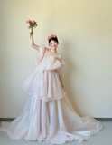 Gorgeous Off-the-shoulder Sheath Long Wedding Dresses Tulle Bridal Dresses Light Pink Short-sleeved Bridal Gowns HZ1121