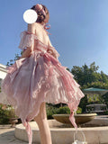 Vintage Ball Gown Pink Tulle 22th Birthday Dress Mini Lolita Dress Short Lolita Outfits HZ1121