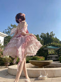 Vintage Ball Gown Pink Tulle 22th Birthday Dress Mini Lolita Dress Short Lolita Outfits HZ1121